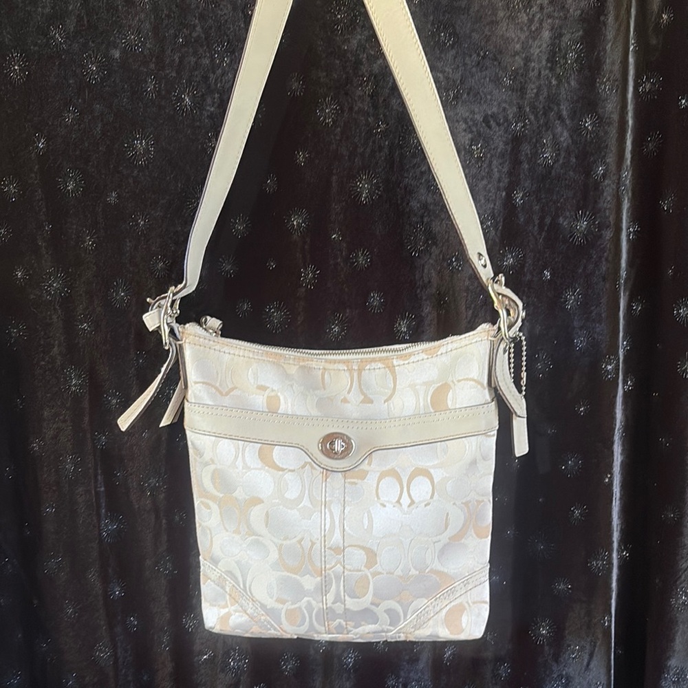 Coach Signature C Crossbody Bag
D0794-10994